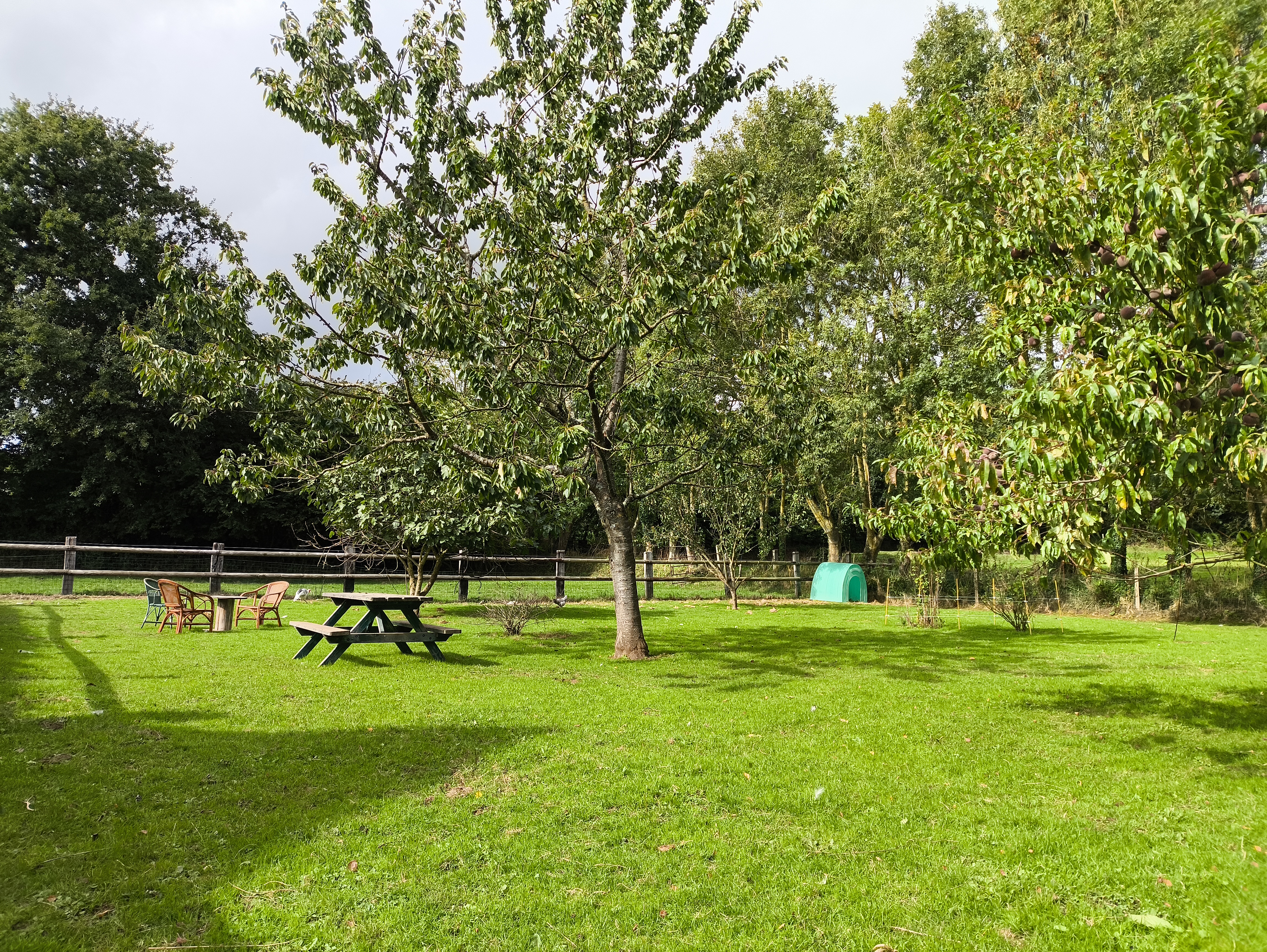 Espace communs avec table et animaux