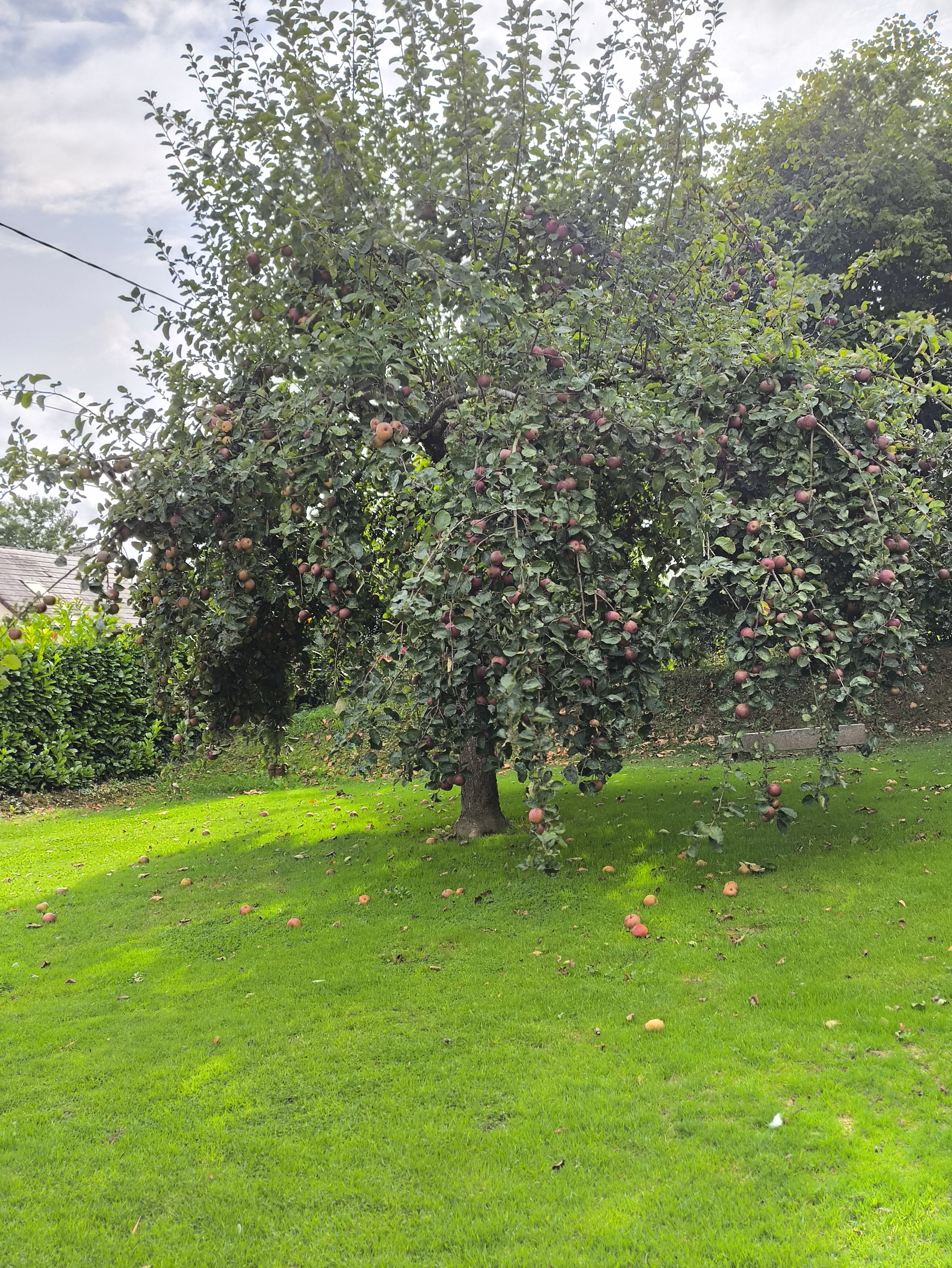 Extérieur hébergements